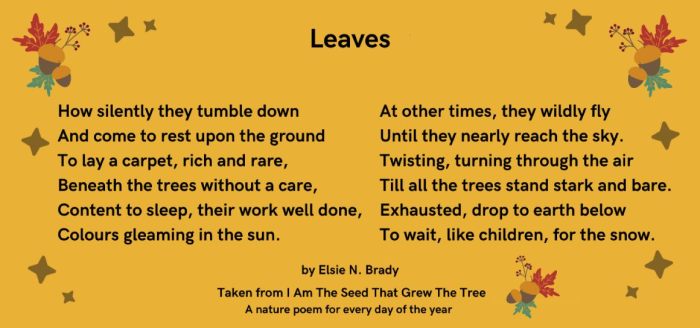 Leaves by elsie n brady