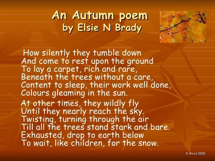 Leaves by elsie n brady