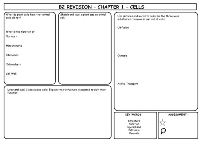 On the summary worksheet in cell b2