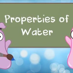 Amoeba sisters properties of water worksheet