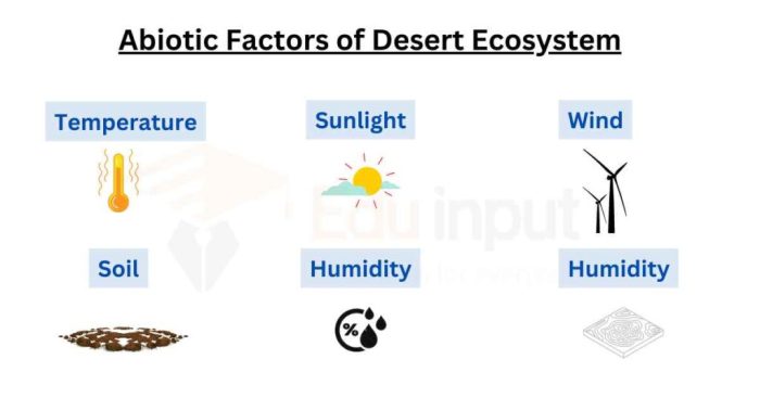 Abiotic factors in the sahara desert