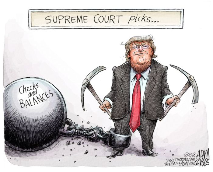 Political cartoon on checks and balances