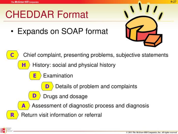 In the cheddar format of documentation the c section includes